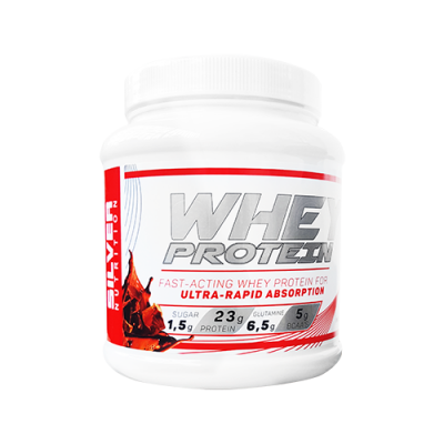 Whey Protein - 1 LB - Chocolate Milk Shake